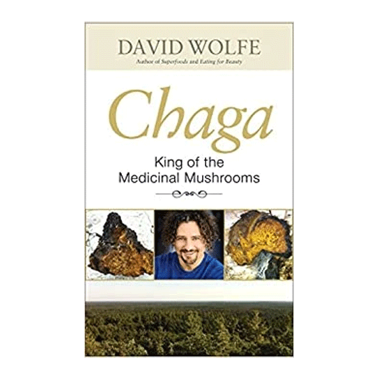 Chaga: King of the Medicinal Mushrooms - Christopher's Herb Shop